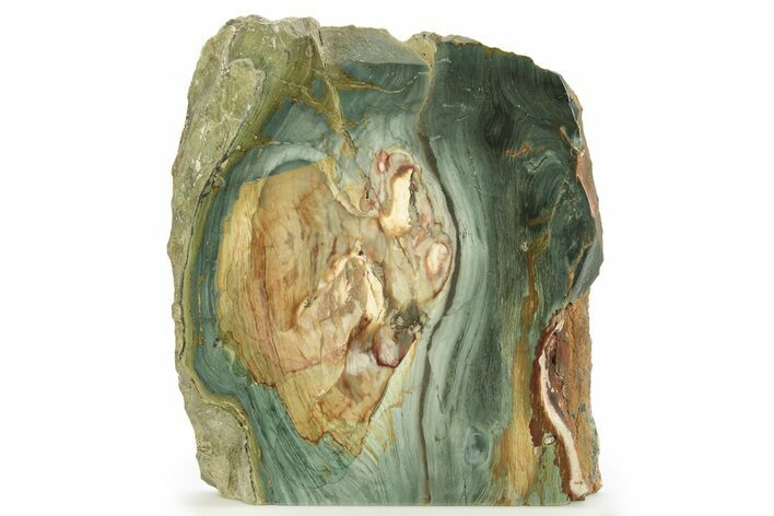 Gary Green Jasper (Larsonite) Bog Wood Slab - Oregon #263829